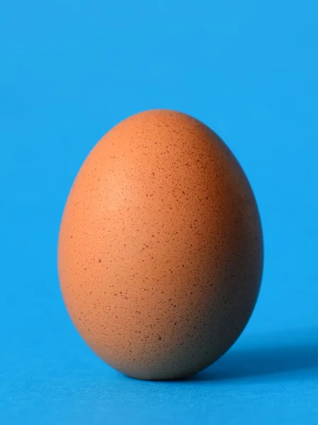 Single brown chicken — Stock Photo, Image