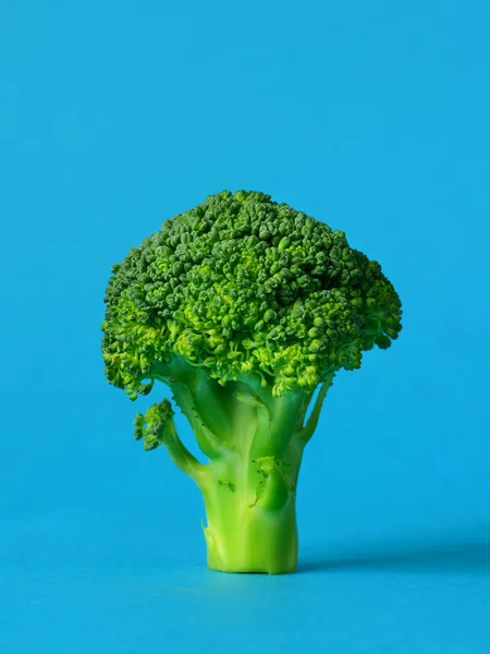 Fresh green broccoli — Stock Photo, Image