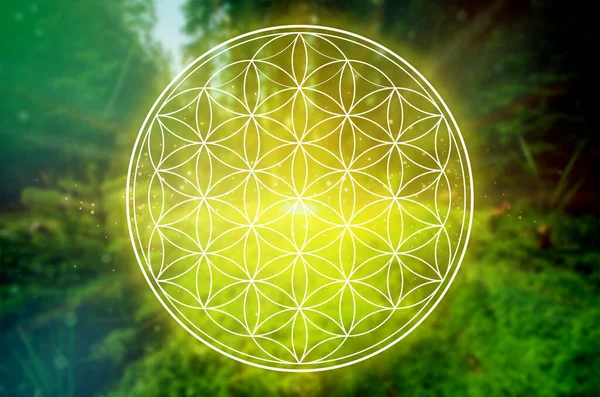 Livets Blomma Symbol Ett Kosmiskt Fält Glödande Ljus — Stockfoto
