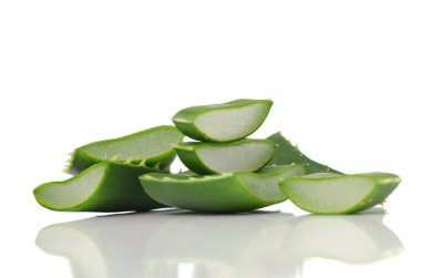 aloe vera yaprağı 