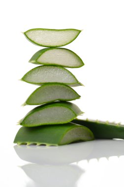 aloe vera yaprağı 