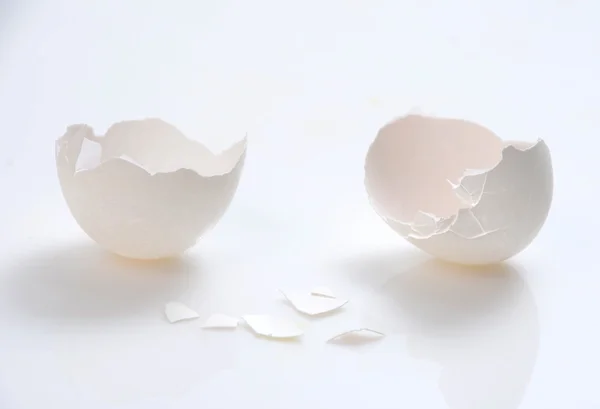 Egg shell — Stock Photo, Image