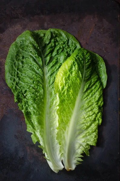 Romaine Marul