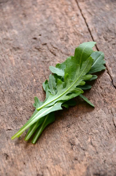 Frische Rucolablätter — Stockfoto