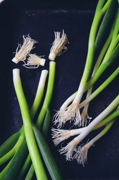 Bos van groene uien — Stockfoto