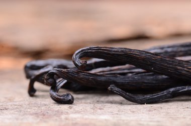 vanilya pods yakın çekim