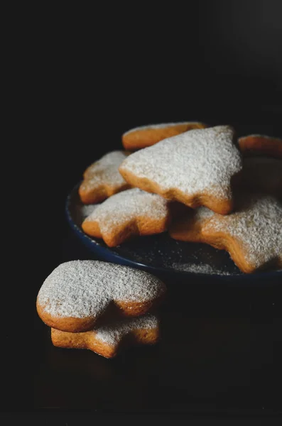 Домашнее рождественское печенье — стоковое фото