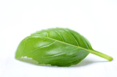 taze fesleğen yaprağı