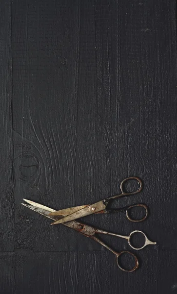Vecchie forbici arrugginite — Foto Stock