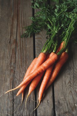 Demet taze havuç yeşil yaprakları ile