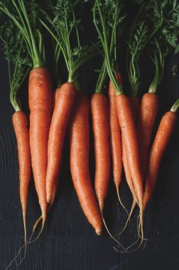 Demet taze havuç yeşil yaprakları ile