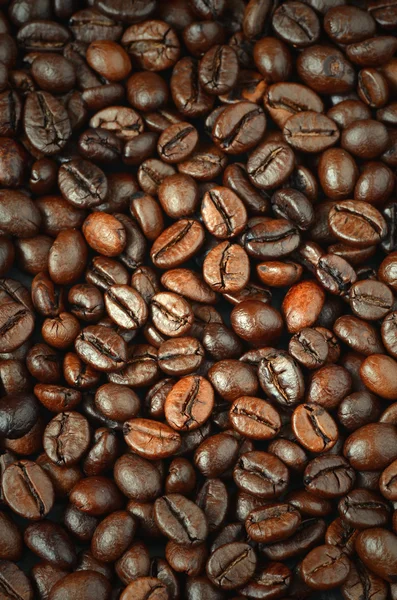 Roasted coffee beans — Stock Photo, Image