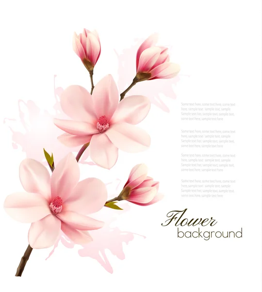 Fundo de primavera com brunch flor de flores rosa. Vetor —  Vetores de Stock