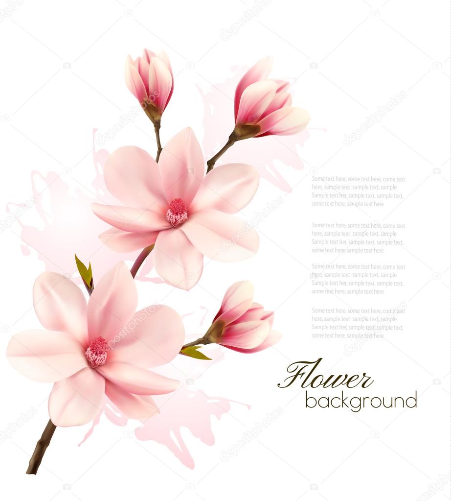 Spring background with blossom brunch of pink flowers. Vector