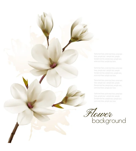 Bahar arka plan beyaz Manolya çiçeği brunch ile. Vektör — Stok Vektör