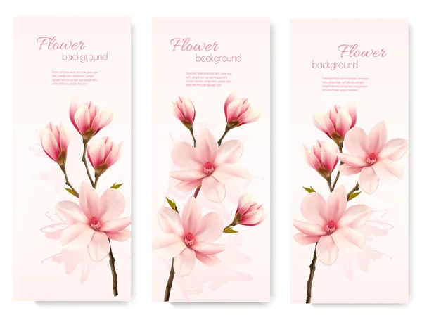 Banners con hermosas flores de flor de cerezo. Vector . — Archivo Imágenes Vectoriales