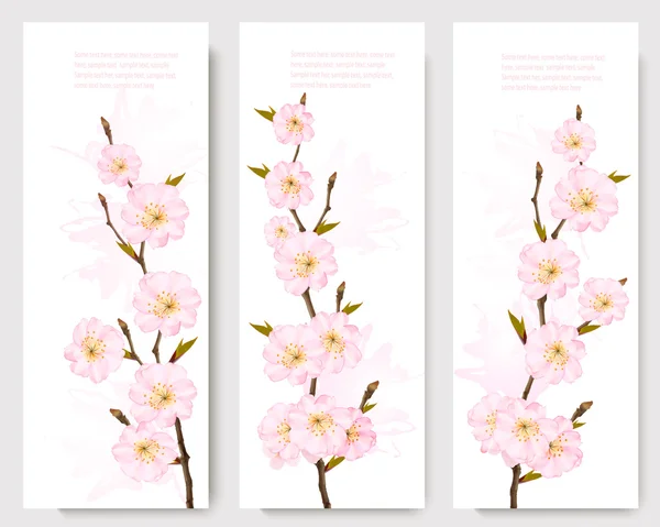 Hermosas banderas de rama de sakura. Vector . — Archivo Imágenes Vectoriales