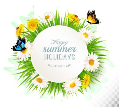 Mutlu yaz tatil arka plan poppies, papatya ve butte ile