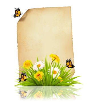 Eski sayfaya bahar çiçekleri ve kelebekler. Vektör.