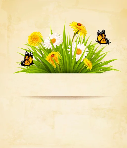 Hierba con flores sobre fondo de papel viejo. Vector . — Vector de stock