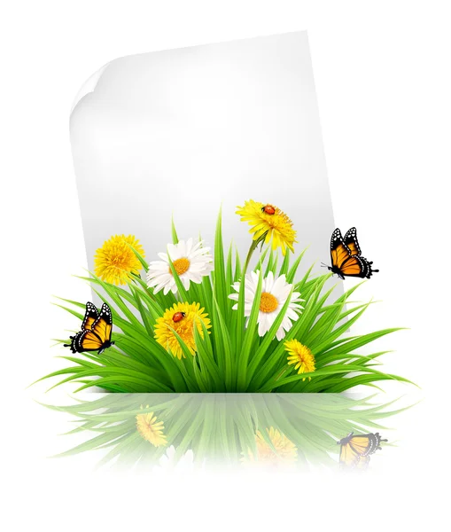 草と春の花と紙のシート。ベクトル. — ストックベクタ
