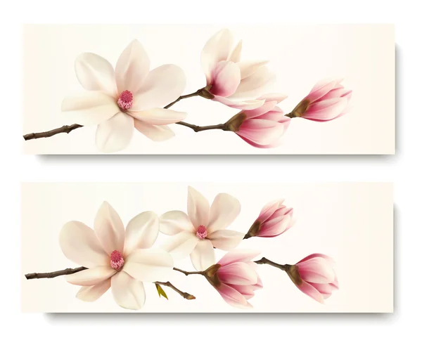 Two magnolia banners. Vector. — Stock Vector