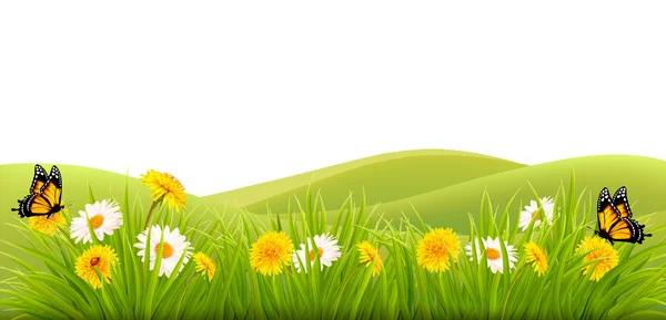 Frühling Hintergrund mit Gras, Blumen und Schmetterlingen. Vektor. — Stockvektor