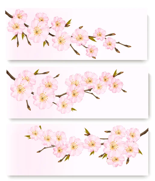 Tres pancartas de flores. Vector . — Vector de stock