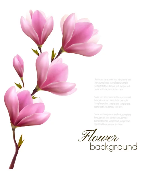 Sfondo naturale con ramo fiorito di fiori rosa. Vettore — Vettoriale Stock
