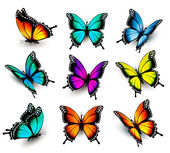 Sammlung farbenfroher Schmetterlinge, die in verschiedenen Richtungen fliegen