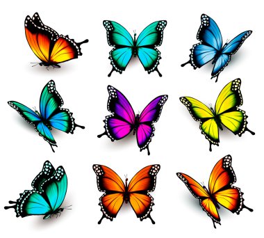 Collection of colorful butterflies, flying in different directio clipart