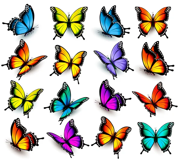 Big collection of colorful butterflies. Vector — Stock Vector