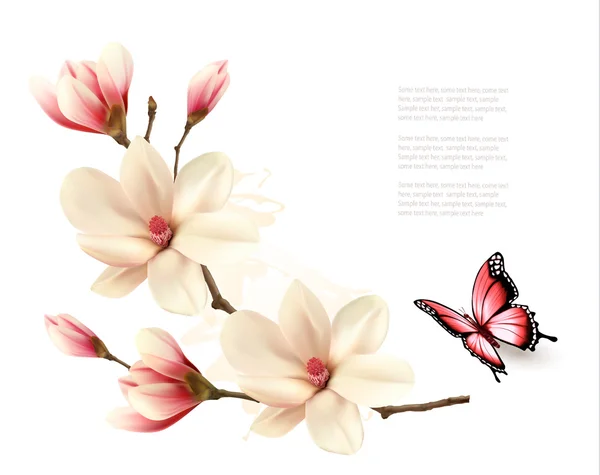 Piękny biały magnolia oddział motyl. Wektor. — Wektor stockowy