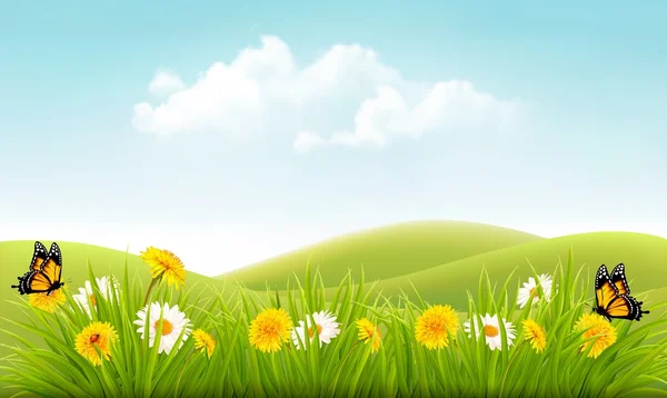 Beautiful summer landscape background. Vector. — Stock Vector