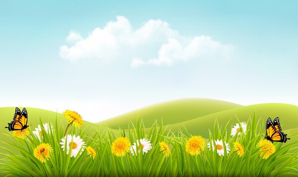 Beautiful summer landscape background. Vector.