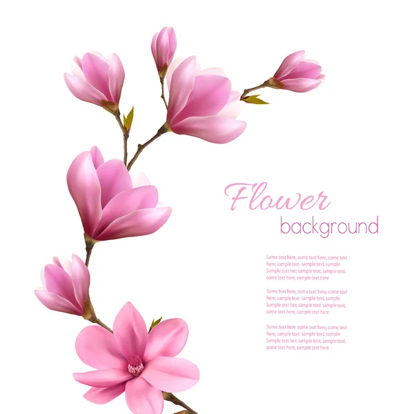 Nature background with blossom branch of pink magnolia. Vector — Stock Vector