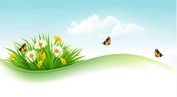 Fondo de verano con hierba, flores y mariposas. Vector . — Vector de stock