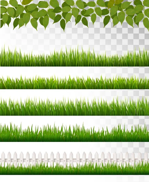 Several grass borders. Vector. — Stock Vector