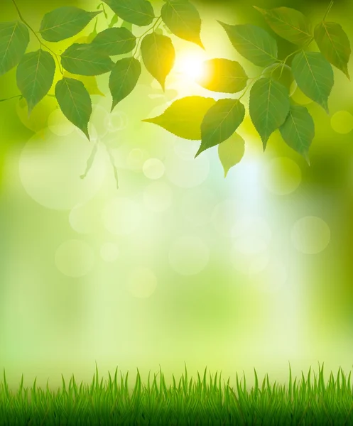 Sommaren natur bakgrund med gröna blad. Vektor. — Stock vektor