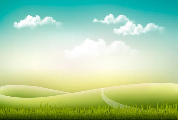 Beautiful summer countryside landscape background. Vector. — Stock Vector