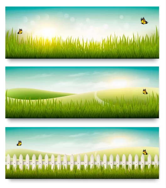 Natur Sommer Banner mit grünem Gras und blauem Himmel. Vektor — Stockvektor