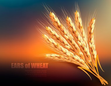 Doğa arka plan yeşil bahar ile bırakır. Vektör çizim