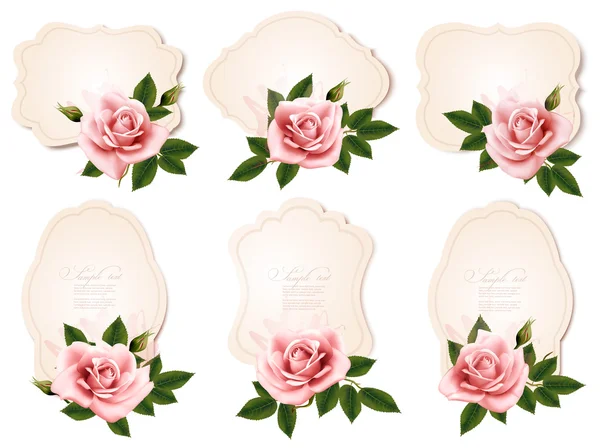Colección de tarjetas de felicitación retro con rosas rosadas. Vector illus — Vector de stock