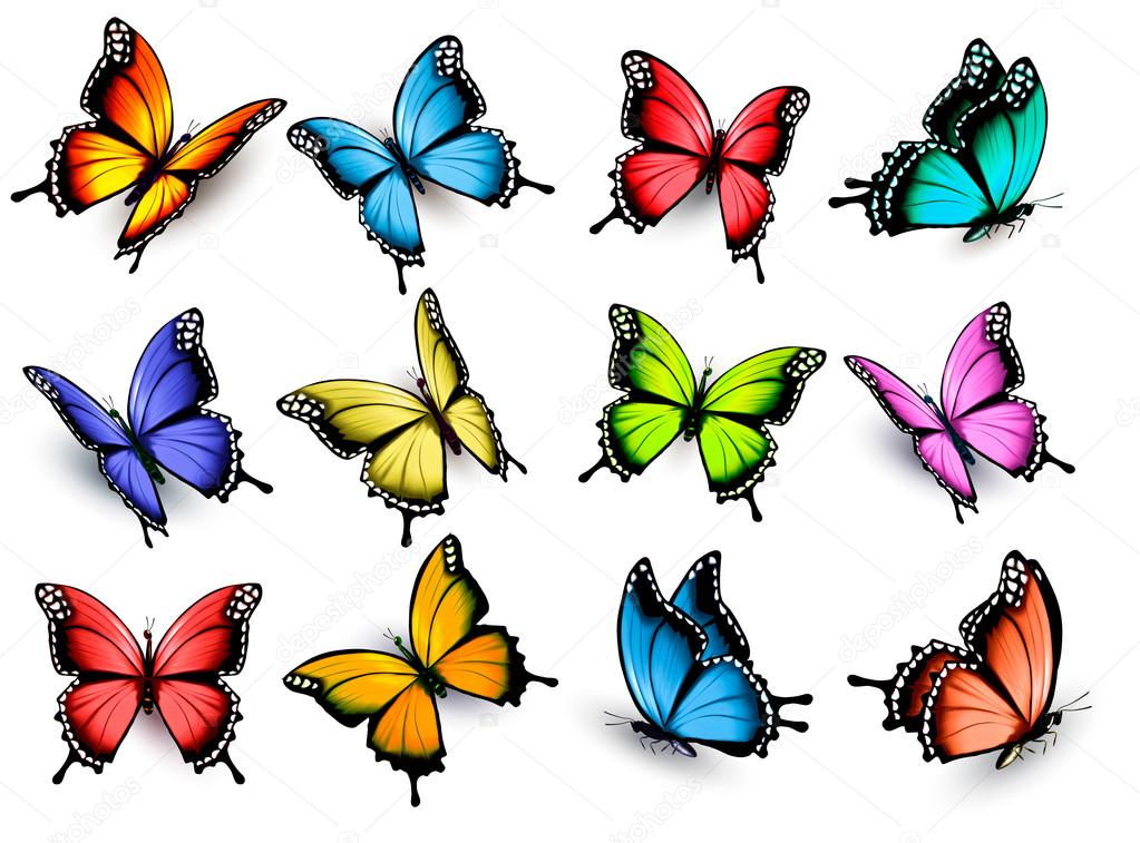 Collection of colorful butterflies, flying in different directions. Vector.