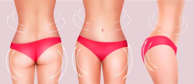 İnce kadın organları bikini koleksiyonu. Vektör.