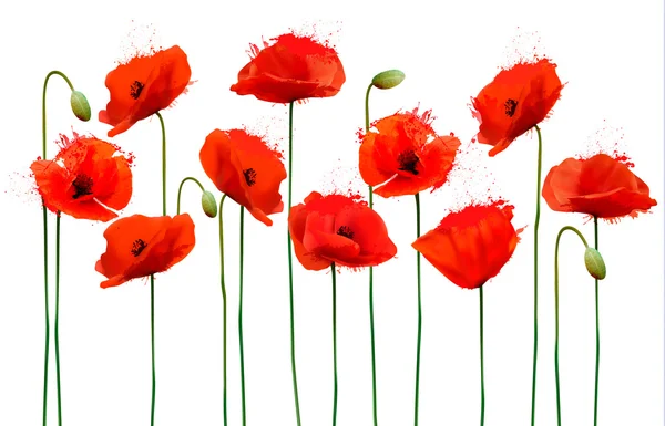 Abstract background with red poppies flowers. Vector. — Stock Vector