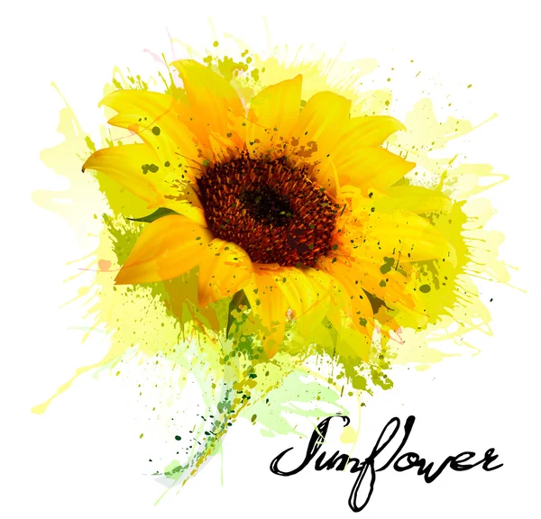 Abstract background with yellow sunflower. Vector — Stock Vector