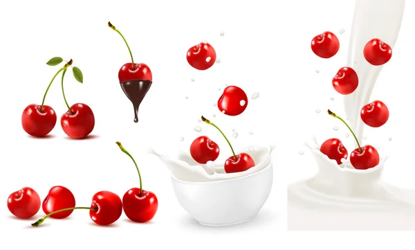 Set of ripe sweet cherries with leaves and splash of milk. Vecto — Stock Vector