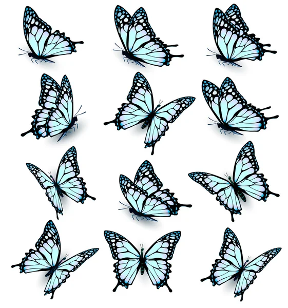Sammlung blauer Schmetterlinge, die in verschiedene Richtungen fliegen. — Stockvektor