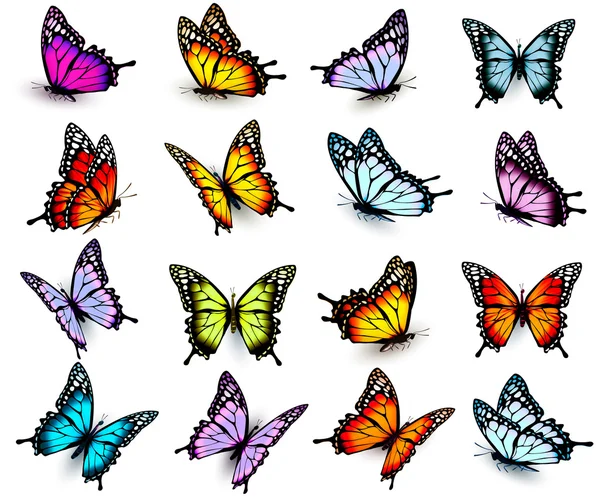 Collection de papillons colorés, volant dans différents directio — Image vectorielle